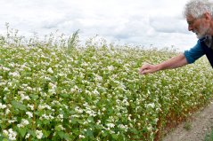 Researcher Wijnand Sukkel in a trial field (photo: OANEvents)